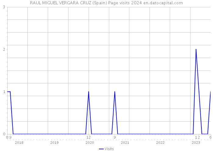 RAUL MIGUEL VERGARA CRUZ (Spain) Page visits 2024 
