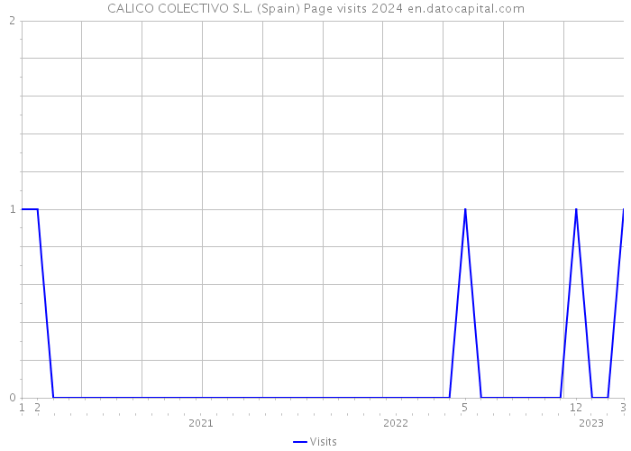 CALICO COLECTIVO S.L. (Spain) Page visits 2024 