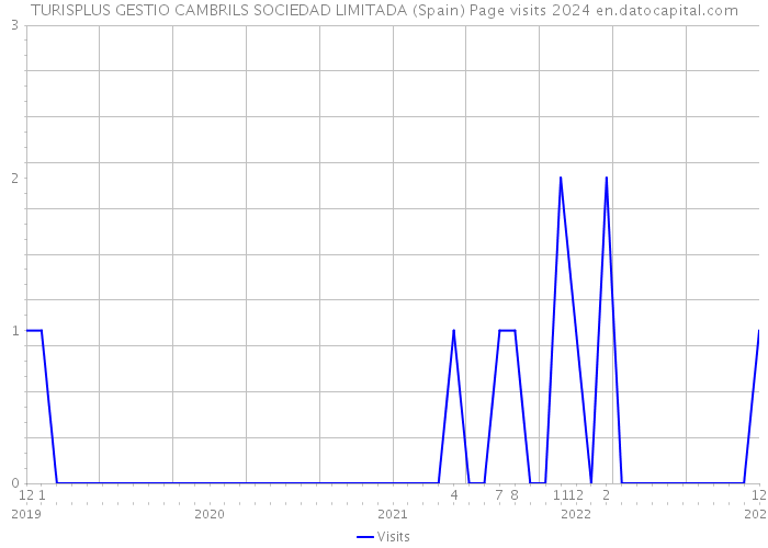 TURISPLUS GESTIO CAMBRILS SOCIEDAD LIMITADA (Spain) Page visits 2024 