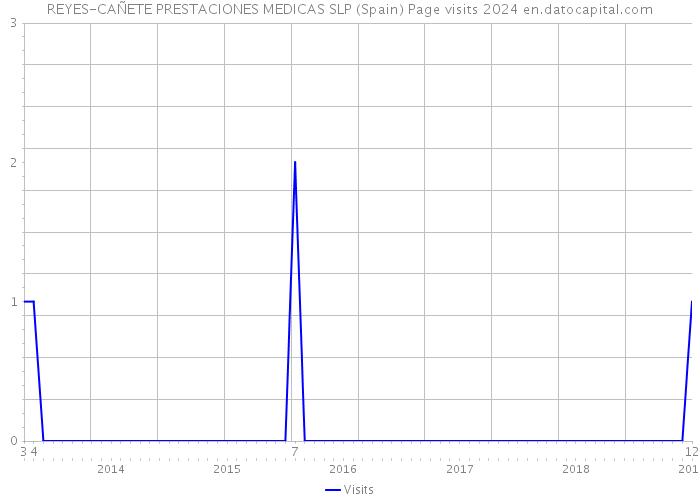 REYES-CAÑETE PRESTACIONES MEDICAS SLP (Spain) Page visits 2024 