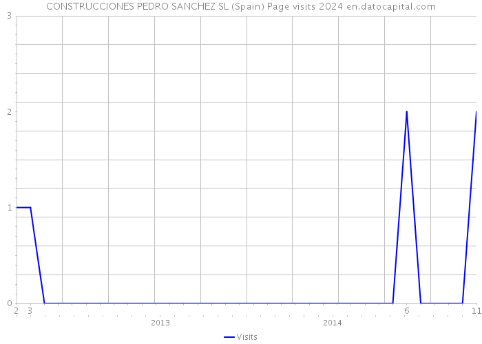 CONSTRUCCIONES PEDRO SANCHEZ SL (Spain) Page visits 2024 