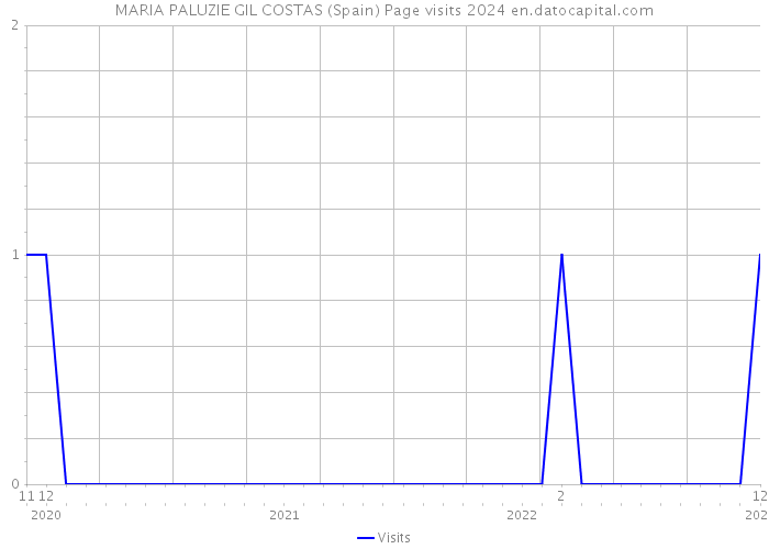 MARIA PALUZIE GIL COSTAS (Spain) Page visits 2024 