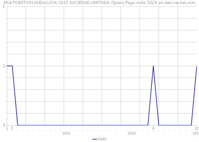 MULTIGESTION ANDALUCIA 2015 SOCIEDAD LIMITADA (Spain) Page visits 2024 