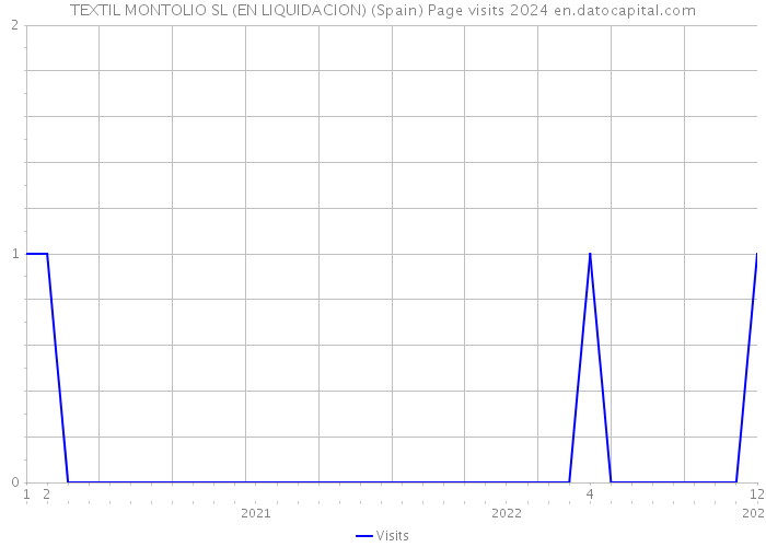 TEXTIL MONTOLIO SL (EN LIQUIDACION) (Spain) Page visits 2024 