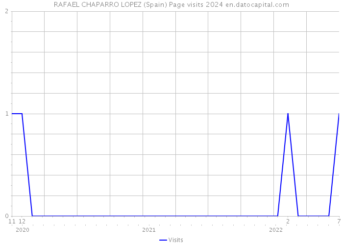 RAFAEL CHAPARRO LOPEZ (Spain) Page visits 2024 