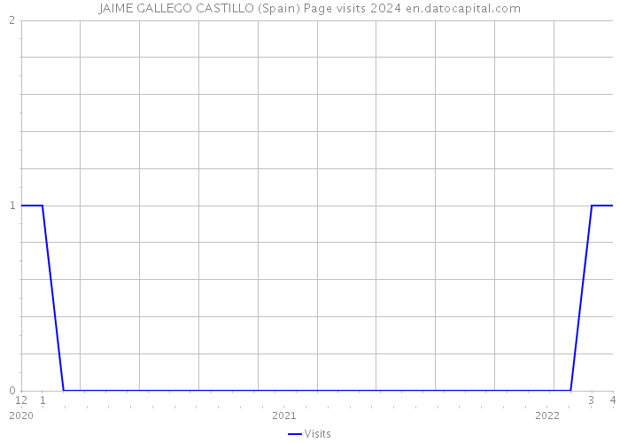 JAIME GALLEGO CASTILLO (Spain) Page visits 2024 