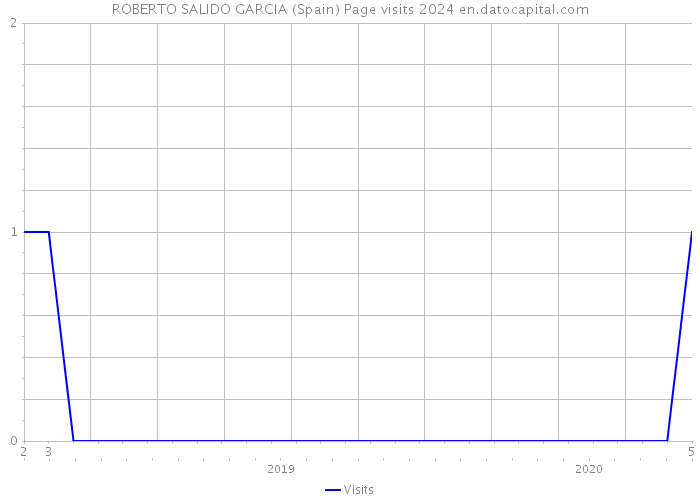 ROBERTO SALIDO GARCIA (Spain) Page visits 2024 