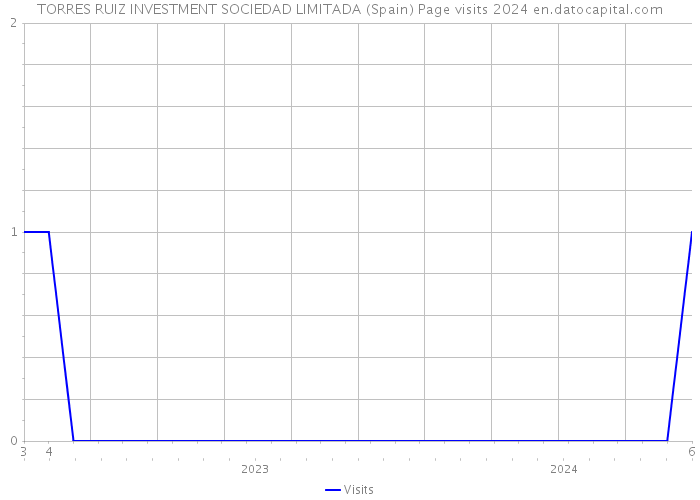 TORRES RUIZ INVESTMENT SOCIEDAD LIMITADA (Spain) Page visits 2024 