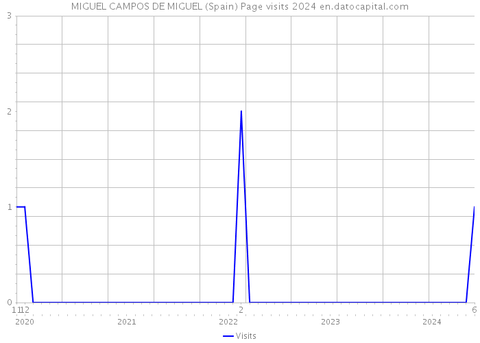 MIGUEL CAMPOS DE MIGUEL (Spain) Page visits 2024 