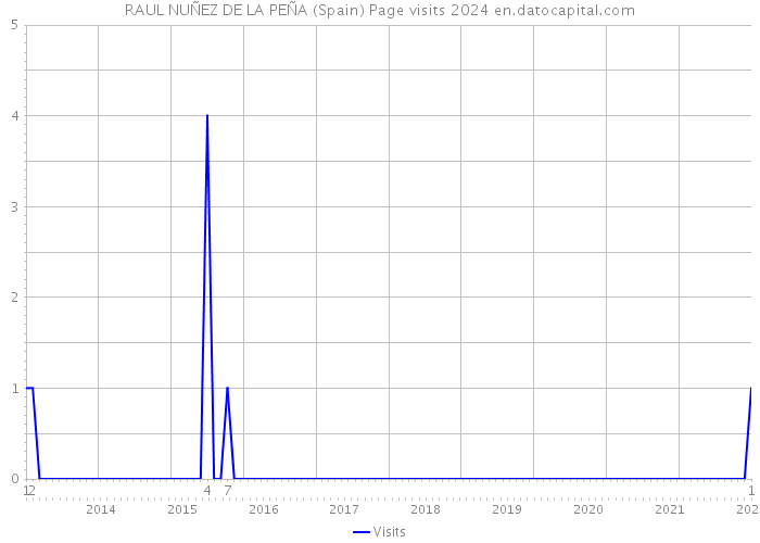 RAUL NUÑEZ DE LA PEÑA (Spain) Page visits 2024 