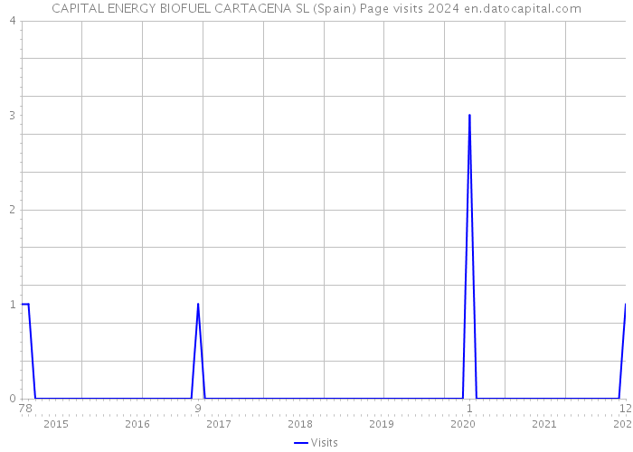 CAPITAL ENERGY BIOFUEL CARTAGENA SL (Spain) Page visits 2024 