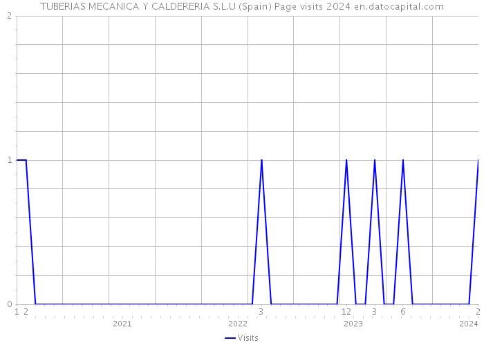 TUBERIAS MECANICA Y CALDERERIA S.L.U (Spain) Page visits 2024 