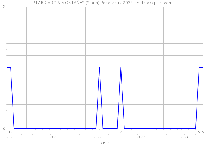 PILAR GARCIA MONTAÑES (Spain) Page visits 2024 