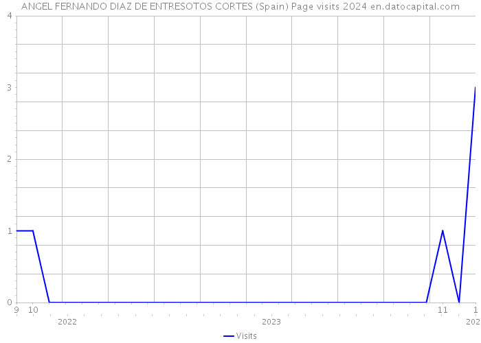 ANGEL FERNANDO DIAZ DE ENTRESOTOS CORTES (Spain) Page visits 2024 