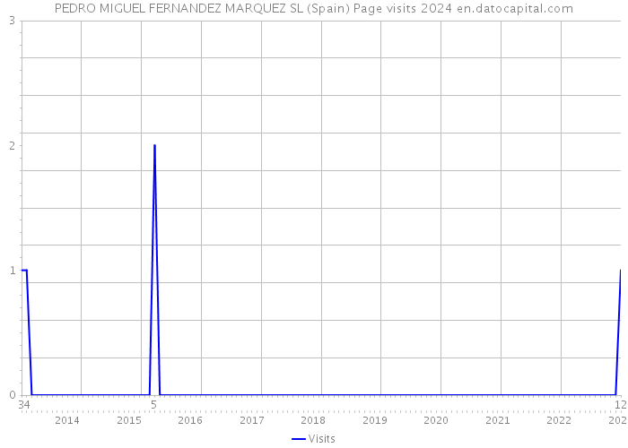 PEDRO MIGUEL FERNANDEZ MARQUEZ SL (Spain) Page visits 2024 