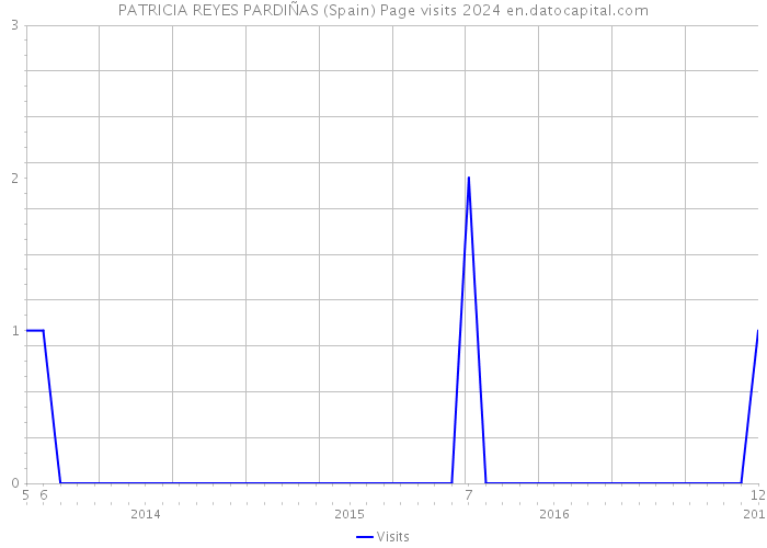 PATRICIA REYES PARDIÑAS (Spain) Page visits 2024 