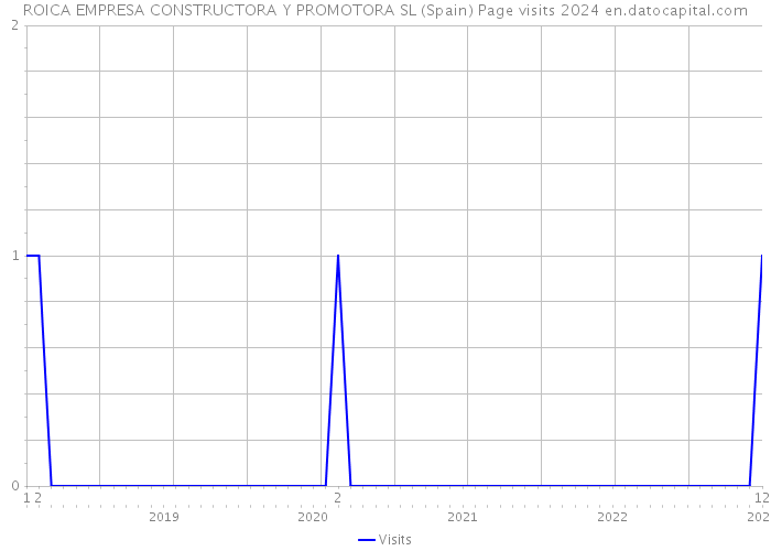 ROICA EMPRESA CONSTRUCTORA Y PROMOTORA SL (Spain) Page visits 2024 