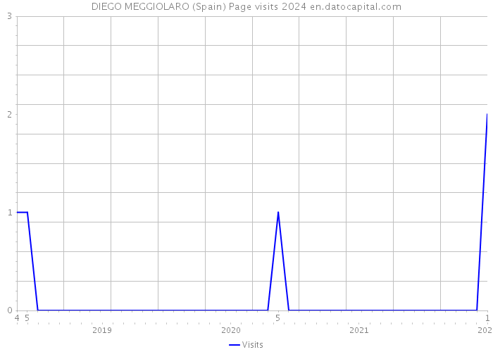 DIEGO MEGGIOLARO (Spain) Page visits 2024 