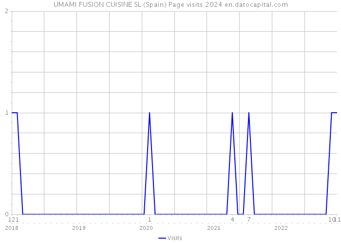 UMAMI FUSION CUISINE SL (Spain) Page visits 2024 