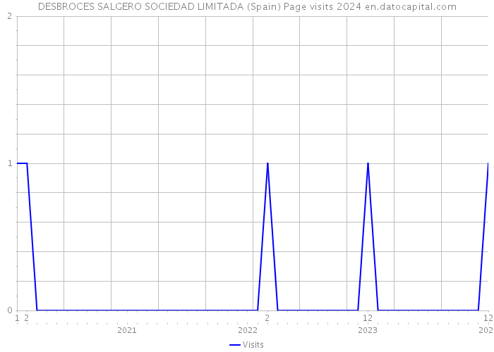 DESBROCES SALGERO SOCIEDAD LIMITADA (Spain) Page visits 2024 