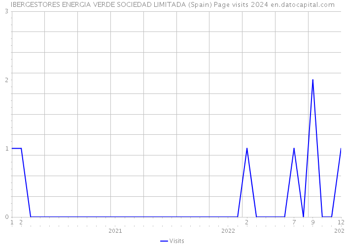 IBERGESTORES ENERGIA VERDE SOCIEDAD LIMITADA (Spain) Page visits 2024 