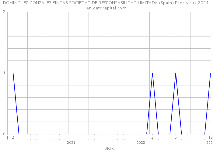 DOMINGUEZ GONZALEZ FINCAS SOCIEDAD DE RESPONSABILIDAD LIMITADA (Spain) Page visits 2024 