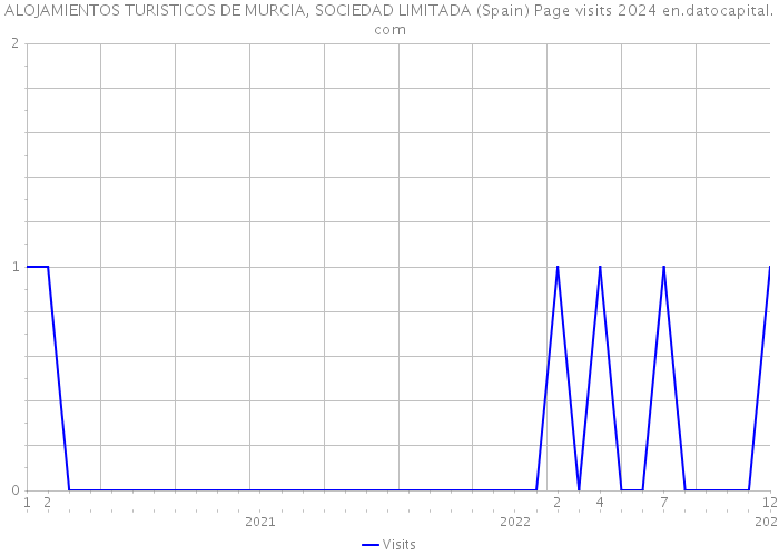 ALOJAMIENTOS TURISTICOS DE MURCIA, SOCIEDAD LIMITADA (Spain) Page visits 2024 