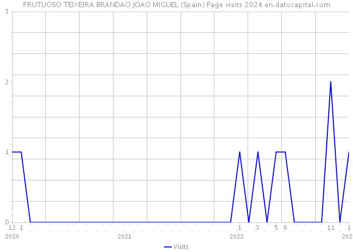 FRUTUOSO TEIXEIRA BRANDAO JOAO MIGUEL (Spain) Page visits 2024 