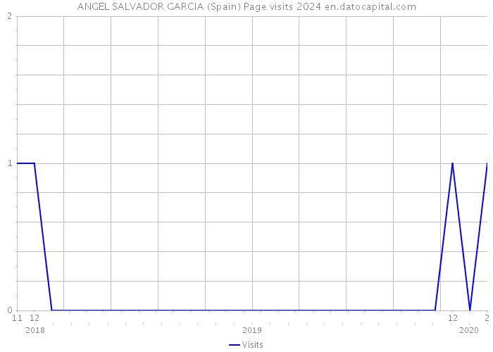 ANGEL SALVADOR GARCIA (Spain) Page visits 2024 