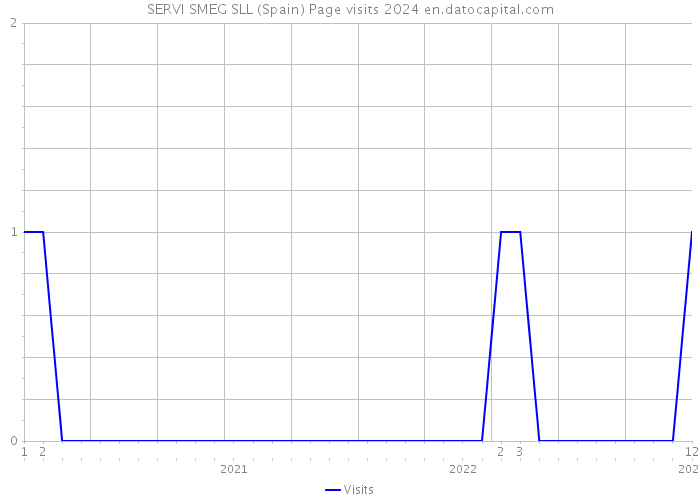 SERVI SMEG SLL (Spain) Page visits 2024 