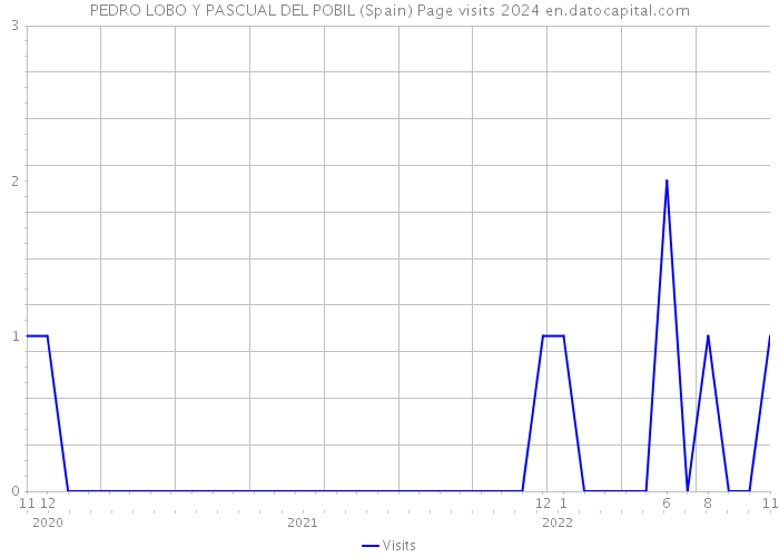 PEDRO LOBO Y PASCUAL DEL POBIL (Spain) Page visits 2024 