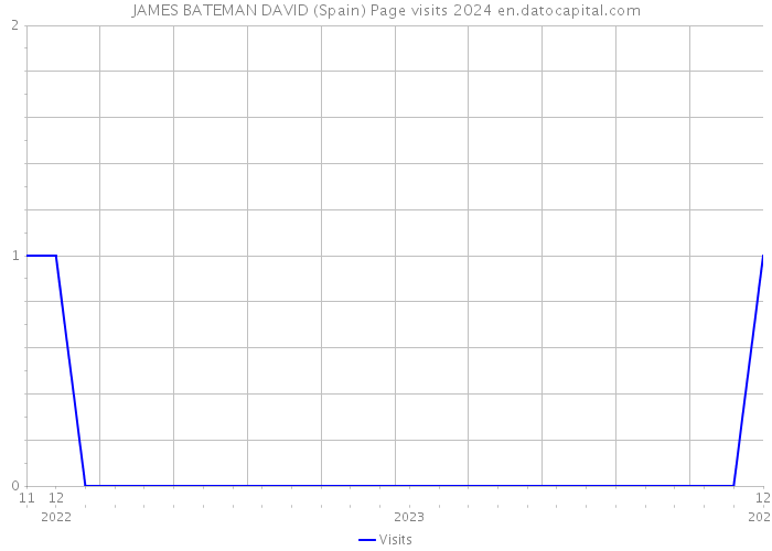 JAMES BATEMAN DAVID (Spain) Page visits 2024 