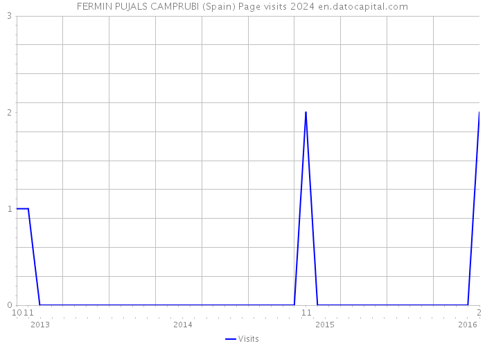 FERMIN PUJALS CAMPRUBI (Spain) Page visits 2024 