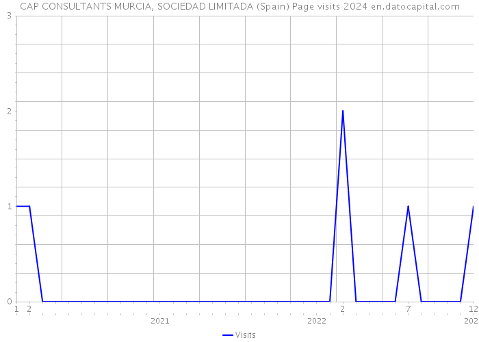 CAP CONSULTANTS MURCIA, SOCIEDAD LIMITADA (Spain) Page visits 2024 