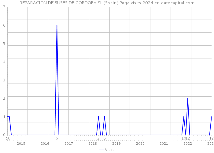 REPARACION DE BUSES DE CORDOBA SL (Spain) Page visits 2024 