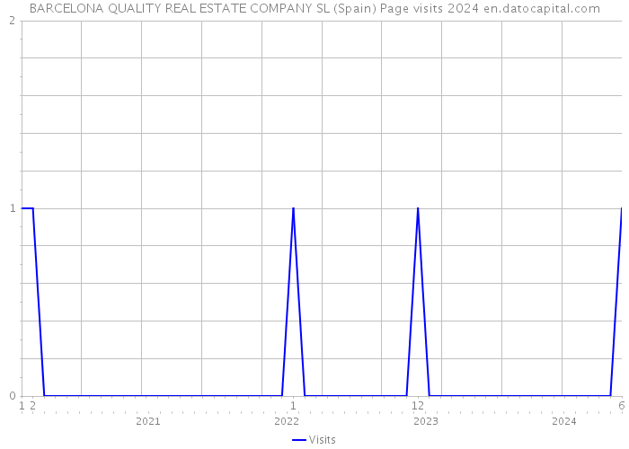 BARCELONA QUALITY REAL ESTATE COMPANY SL (Spain) Page visits 2024 