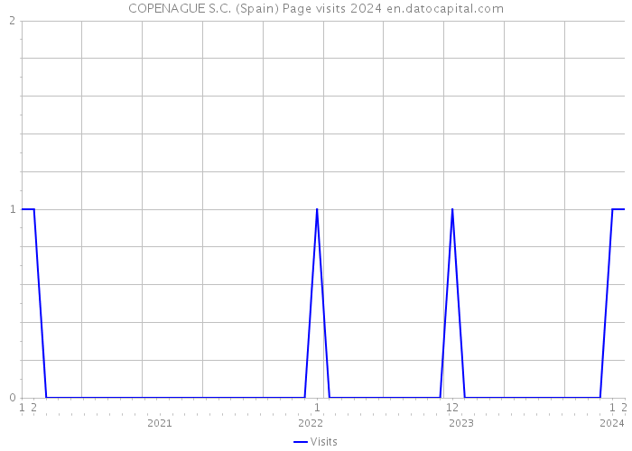 COPENAGUE S.C. (Spain) Page visits 2024 