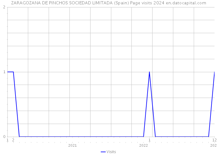 ZARAGOZANA DE PINCHOS SOCIEDAD LIMITADA (Spain) Page visits 2024 