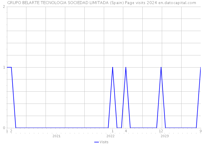 GRUPO BELARTE TECNOLOGIA SOCIEDAD LIMITADA (Spain) Page visits 2024 