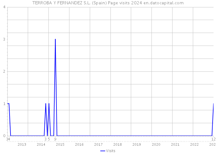 TERROBA Y FERNANDEZ S.L. (Spain) Page visits 2024 