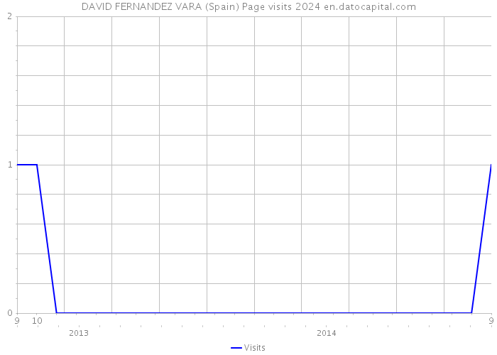 DAVID FERNANDEZ VARA (Spain) Page visits 2024 