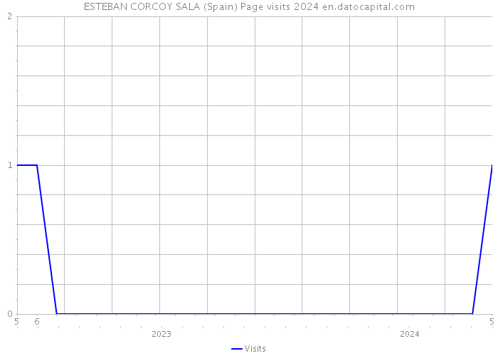 ESTEBAN CORCOY SALA (Spain) Page visits 2024 
