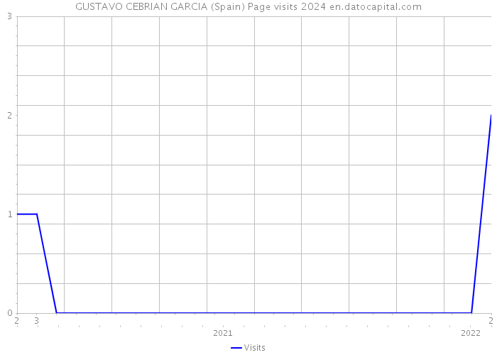 GUSTAVO CEBRIAN GARCIA (Spain) Page visits 2024 