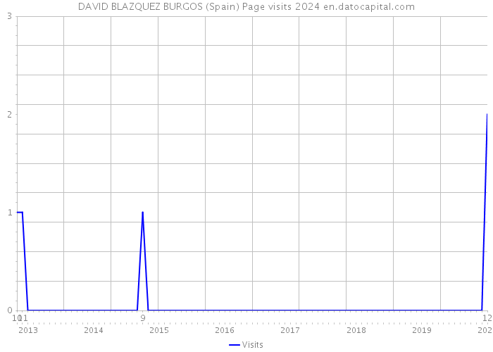 DAVID BLAZQUEZ BURGOS (Spain) Page visits 2024 