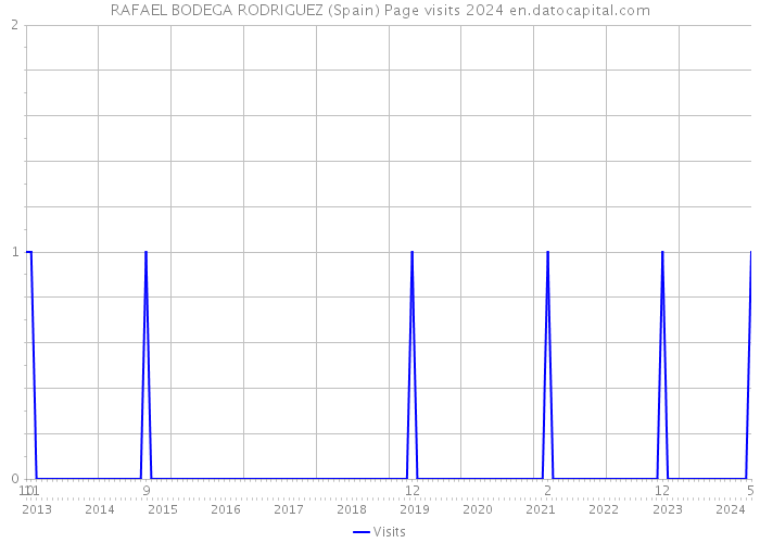 RAFAEL BODEGA RODRIGUEZ (Spain) Page visits 2024 