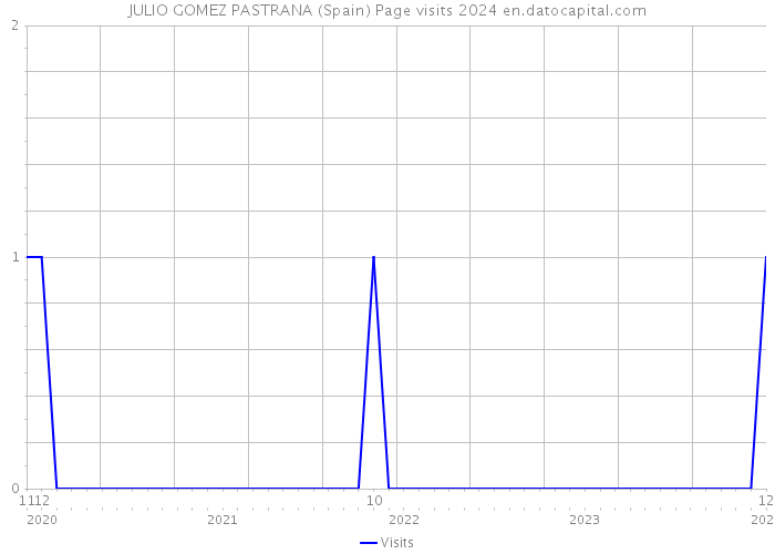 JULIO GOMEZ PASTRANA (Spain) Page visits 2024 