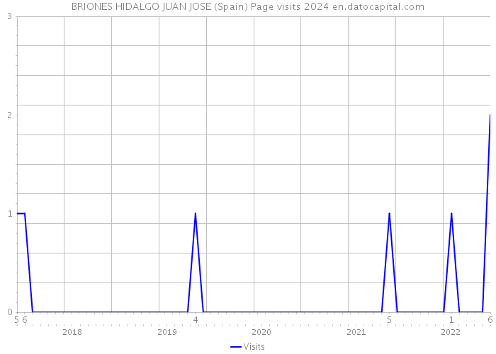 BRIONES HIDALGO JUAN JOSE (Spain) Page visits 2024 