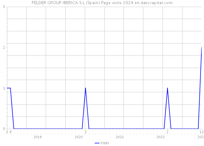 FELDER GROUP IBERICA S.L (Spain) Page visits 2024 