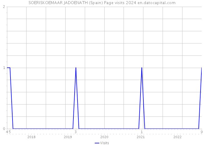 SOERISKOEMAAR JADOENATH (Spain) Page visits 2024 