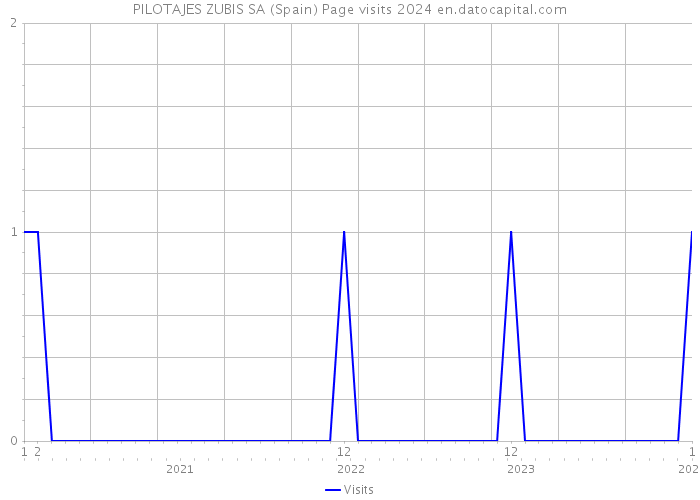 PILOTAJES ZUBIS SA (Spain) Page visits 2024 